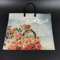 Пакет с пластмассовой ручкой 35х38см (90) Счастливый день 10шт