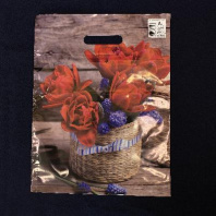 Пакет с вырубной ручкой ПВД 31х40см (60) Элисон 50шт