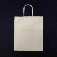 Пакет бумажный прямоугольное дно с КРУЧЁННОЙ ручкой БЕЛЫЙ 280х240х140 25шт пл.70гр 