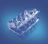 Контейнер одноразовый для десертов ПР-К-28 С5 ПЭТ 50шт внешний 254х150х50, ячейка-120х45х45мм