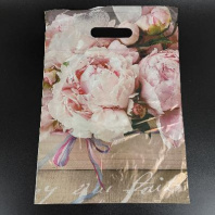 Пакет с вырубной ручкой ПСД 29х40см (35) Бенефис 50шт