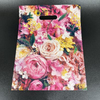 Пакет с вырубной ручкой ПВД 31х40см (60) Элизабет 50шт