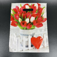 Пакет с вырубной ручкой ПВД 31х40см (60) Белиция 50шт