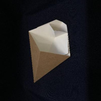 Упаковка ECO CONE-L конус для фри с соусником 40шт 300мл 200х115