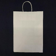 Пакет бумажный прямоугольное дно с КРУЧЁННОЙ ручкой БЕЛЫЙ 350х260х150 25шт пл.80гр 