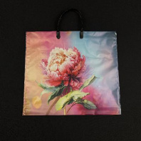 Пакет с пластмассовой ручкой 35х38см (90) Сандра 10шт