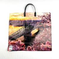 Пакет с пластмассовой ручкой 35х38см (90) Дунай 10шт